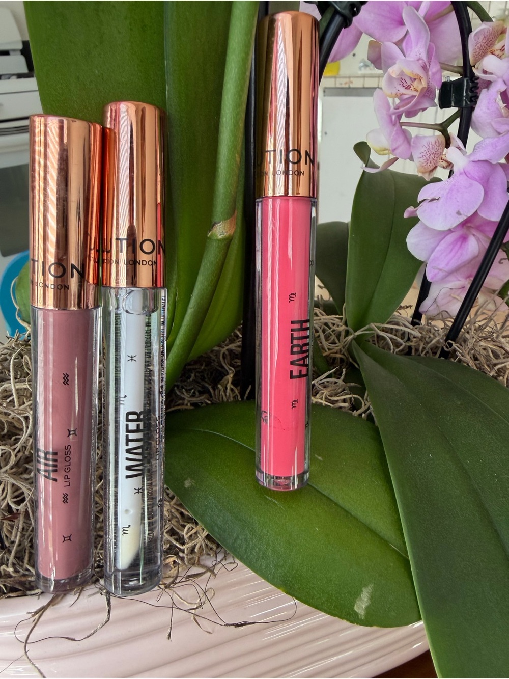 Bundle of 3 , Earth Pink Lip Gloss by - Vibrant Pink Shine